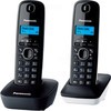 Радиотелефон Panasonic KX-TG1612RU1