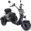 Электроскутер SkyBoard Trike BR40-3000 Pro Fast Off-Road SKY0001301 (черный)